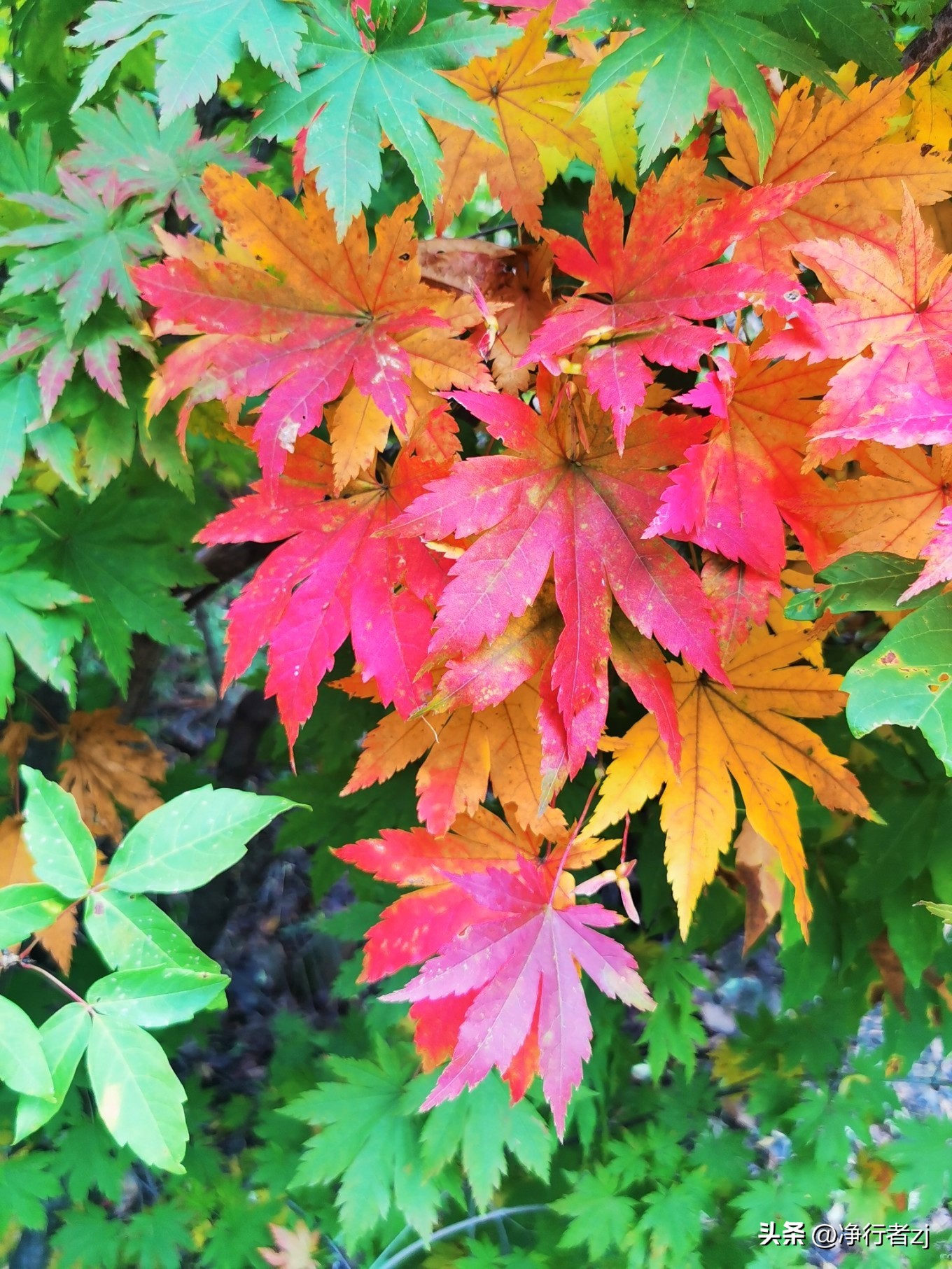 图们江口岸游记,从图们市到牡丹江自驾游