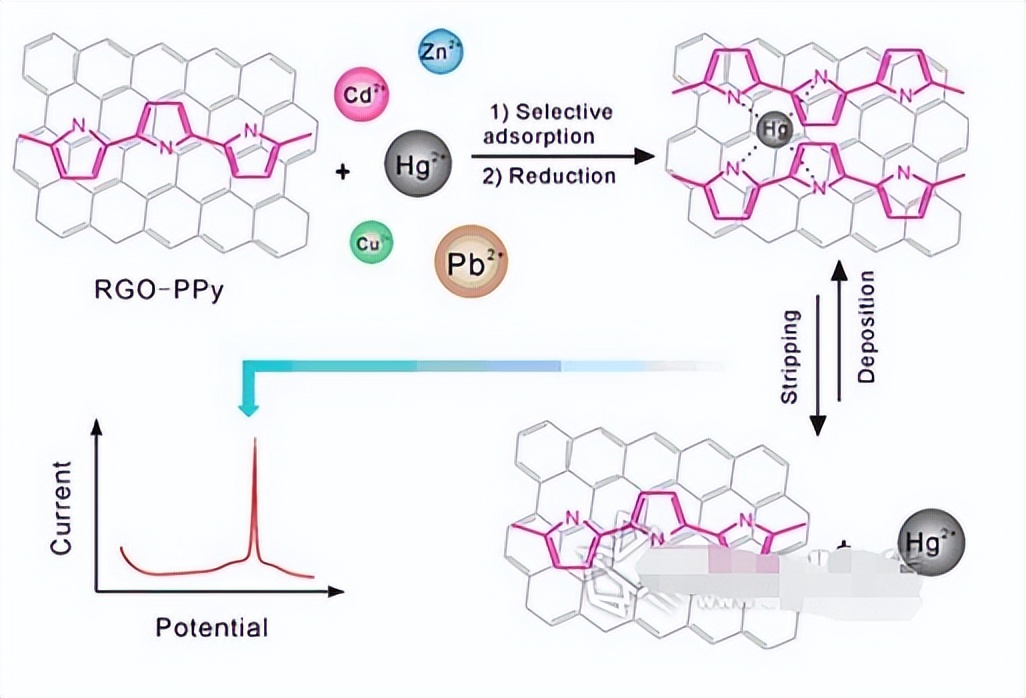 ＭｏＳ２ＴｉＯ２ＣＮＦｓ复合材料活化ＰＭＳ快速去除有机污染物