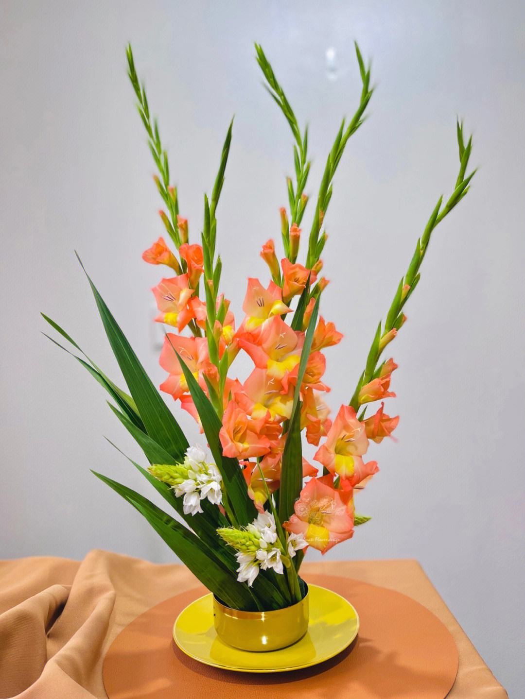 “切花之魁”，不要花大价钱去买了，自己种真的很方便