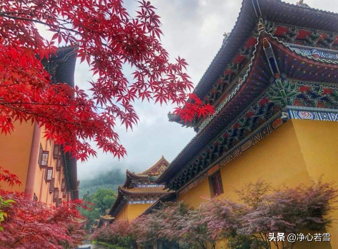 高僧圆寂的108颗舍利子,纯印老人舍利存放地