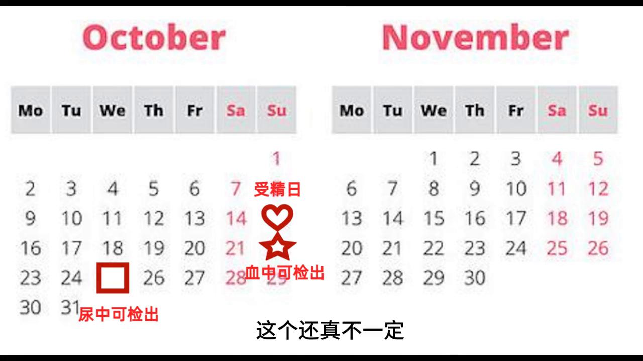 b超推算孕周怎么计算,根据b超推算孕周公式