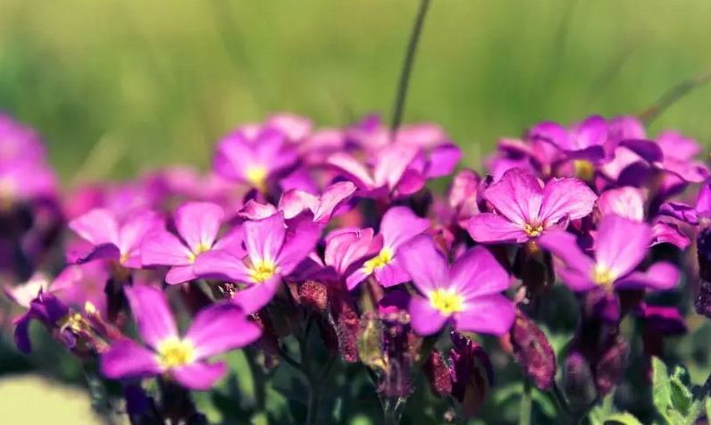 不同类型的人的心态特点,心态好的人都具备这四种品德图
