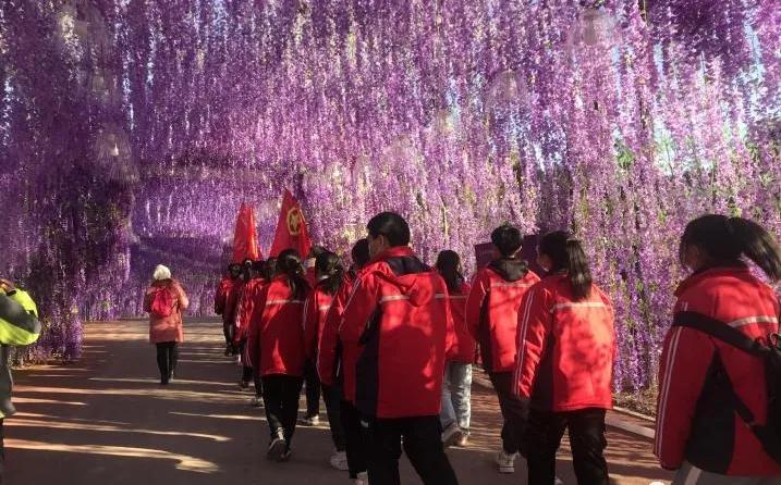 北诗镇科协等部门在卧龙湾康养小镇开展关爱未成年人科普实践研学