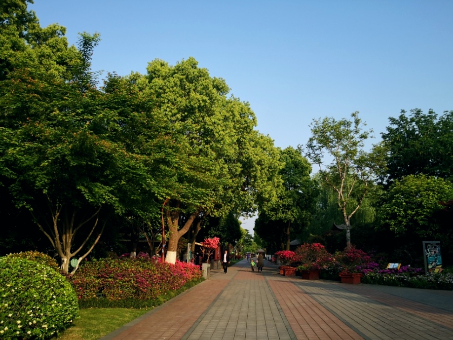 凤凰公园景色美,常州凤凰公园美篇