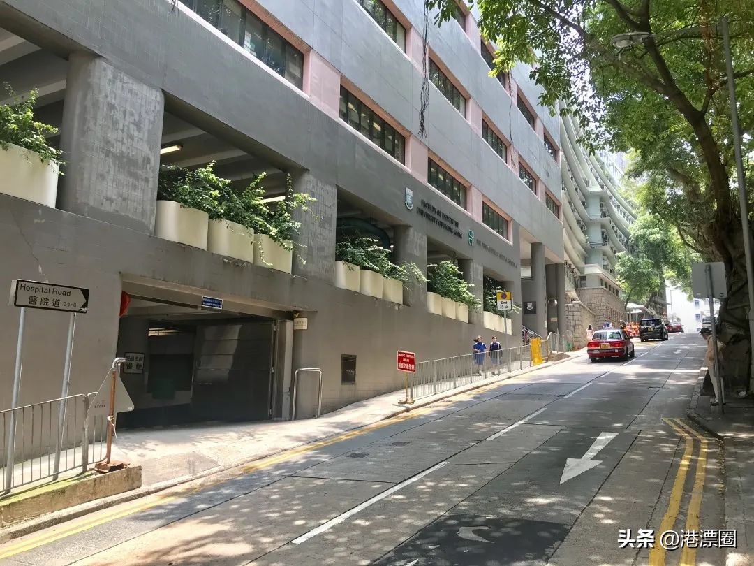 我去香港医院产检，没想到被医学研究团队盯上了……