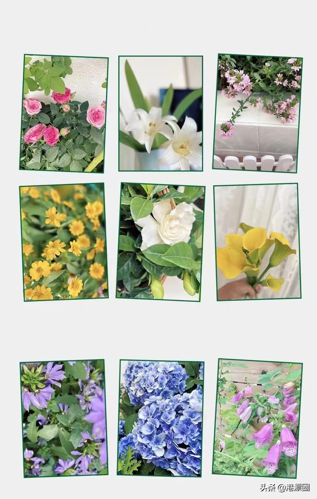 我在香港搬进一个带花园的房子后，直接瘦了六斤……