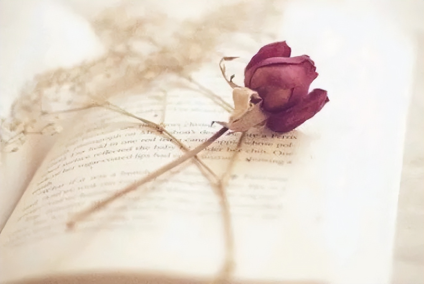 历史学毕业论文选题推荐,教育学毕业论文选题方向