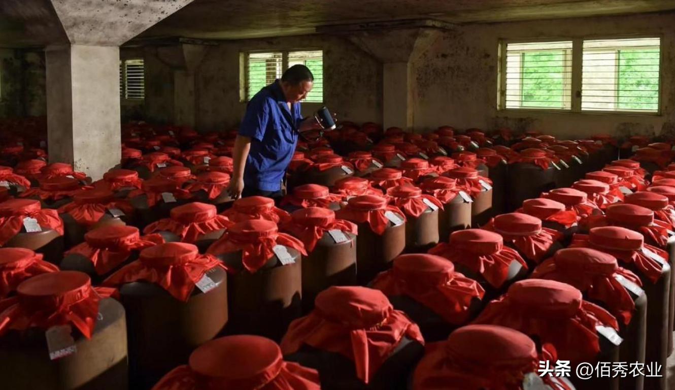 酒水利润一般在多少合适,酒水的利润是多少钱一瓶