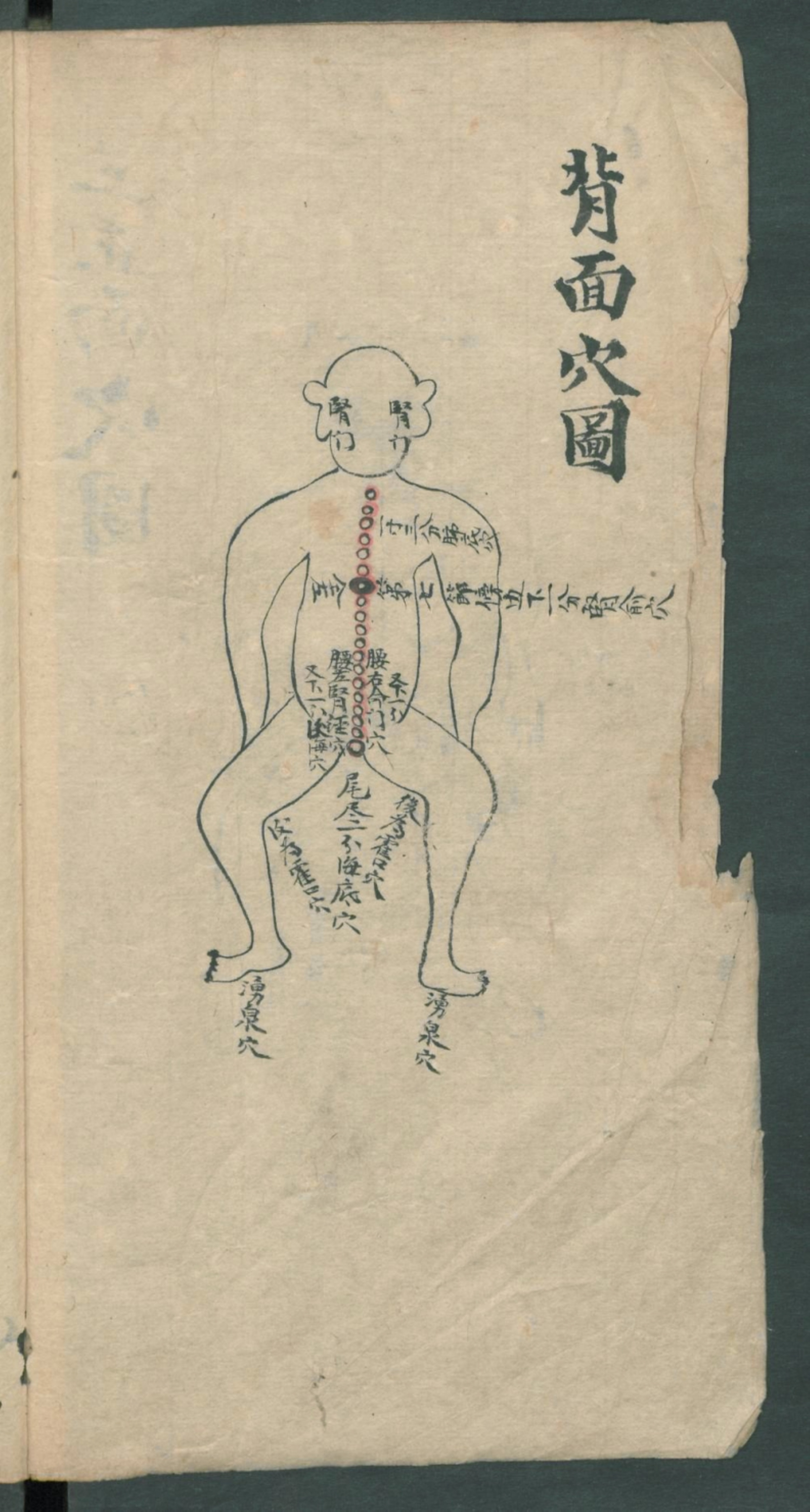 秘传跌打秘方,秘传跌打药方