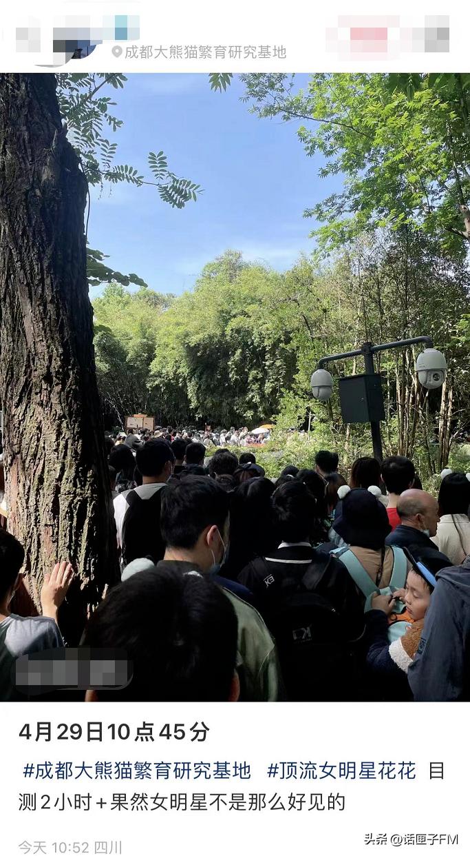 上海五一应该去哪里,今年五一杀疯了