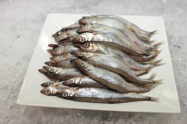 蹿瞌睡，舂瞌睡，老态龙钟本为老态聋舂，湖北方言词汇真形象