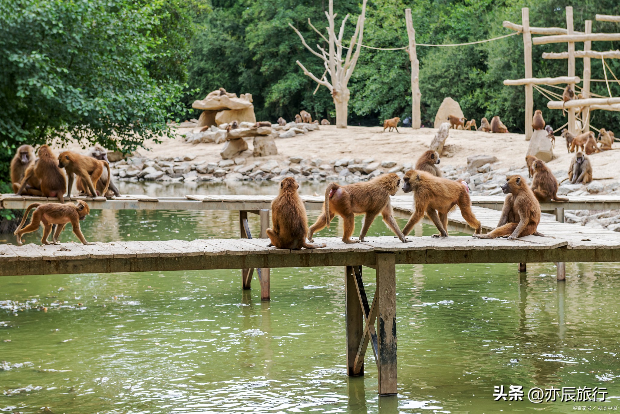 武汉周边避暑烧烤钓鱼,武汉周边避暑旅游景点推荐
