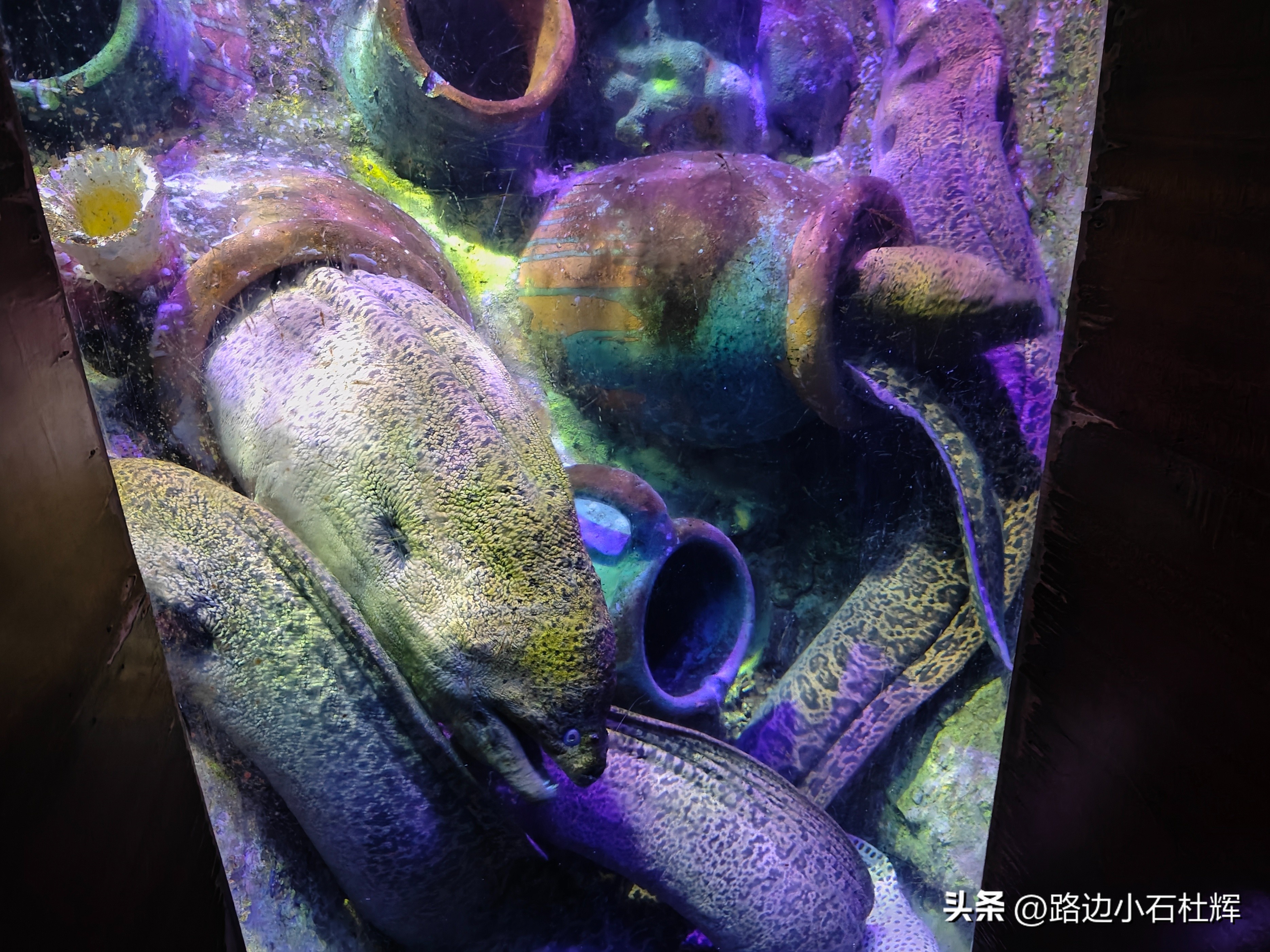 游游人间,游旅人间