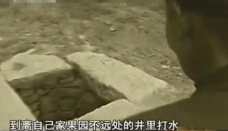 2011年，男子3000元购买藏獒，被盗后怒杀小偷，连其儿子也不放过