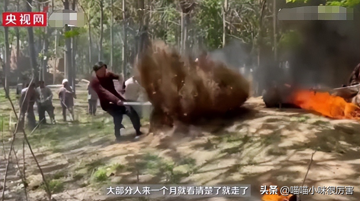 横店群演遍地美女,横店群演懒汉男女