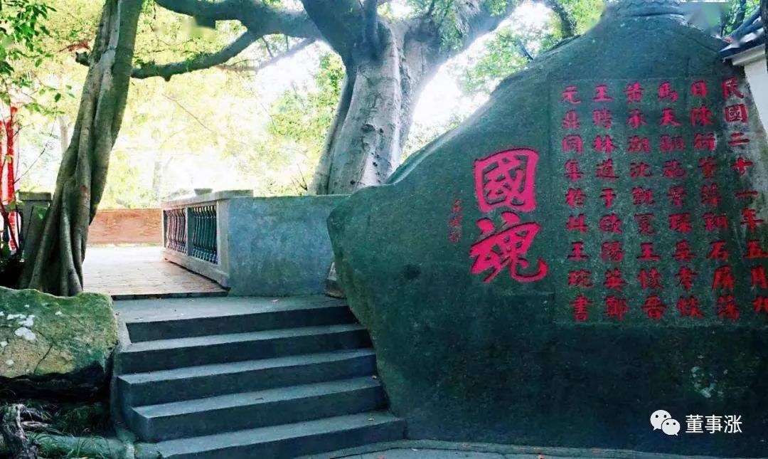 金融街杜猛视频,金融街电讯深度观察