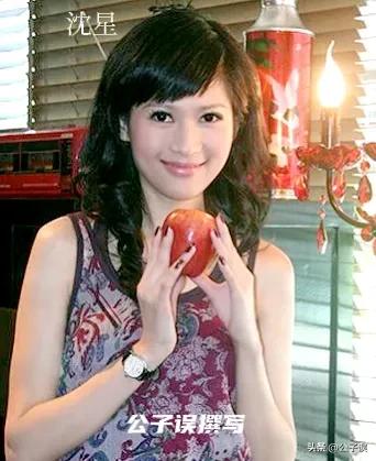 一张和冯小刚的“夜宿门”照片，彻底撕下了沈星的遮羞布