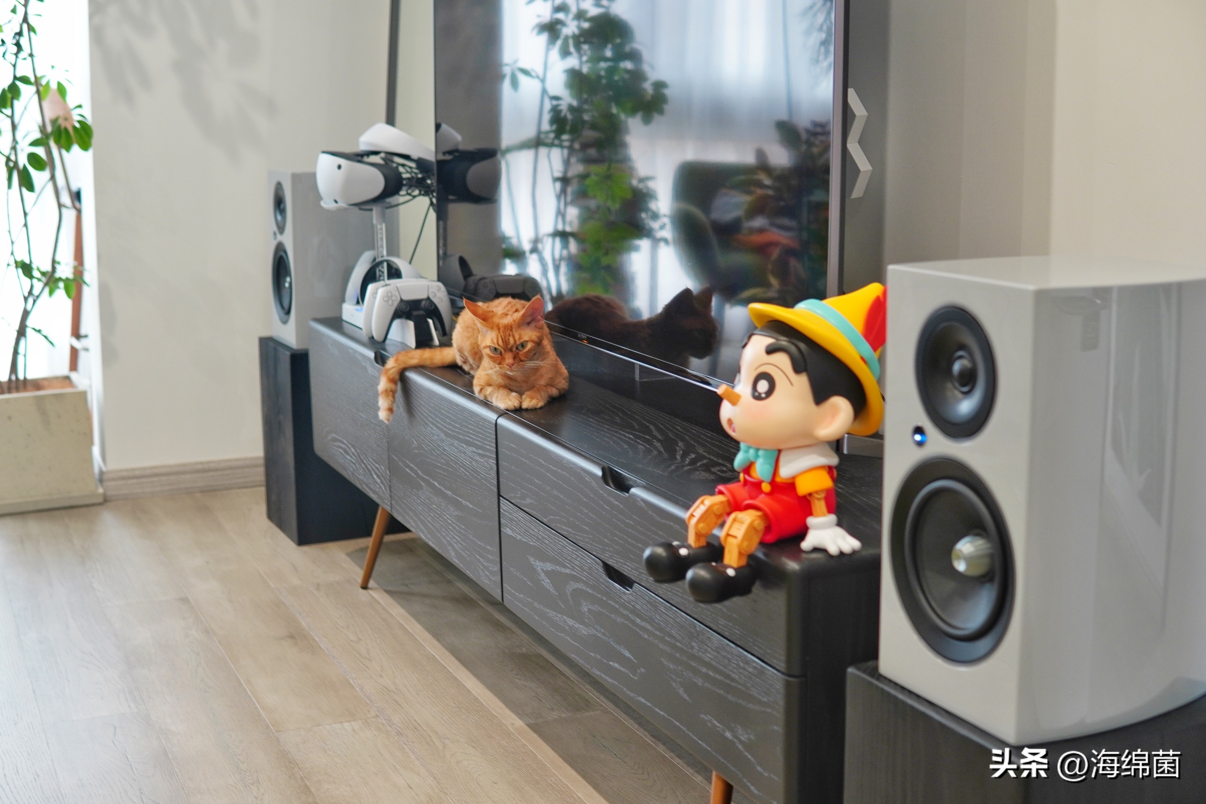 全面提升客厅声效体验：用Jamo尊宝C709PA宠爱耳朵