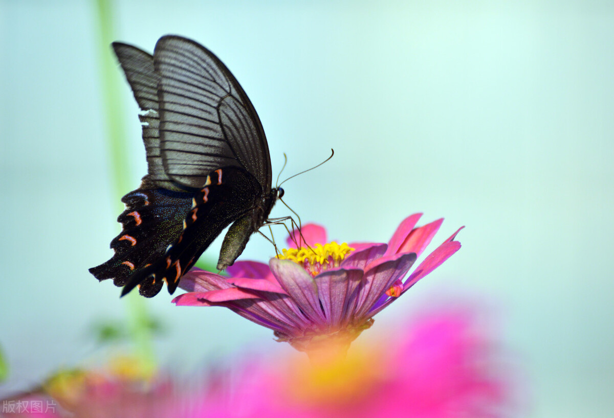 父母不在了兄弟姐妹有必要来往吗,父母不在了兄弟姐妹做好这3件事