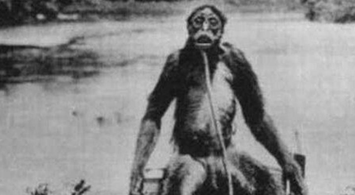 日本人兽杂交实验被允许，这是否违背伦理常纲？是创新还是灾难？