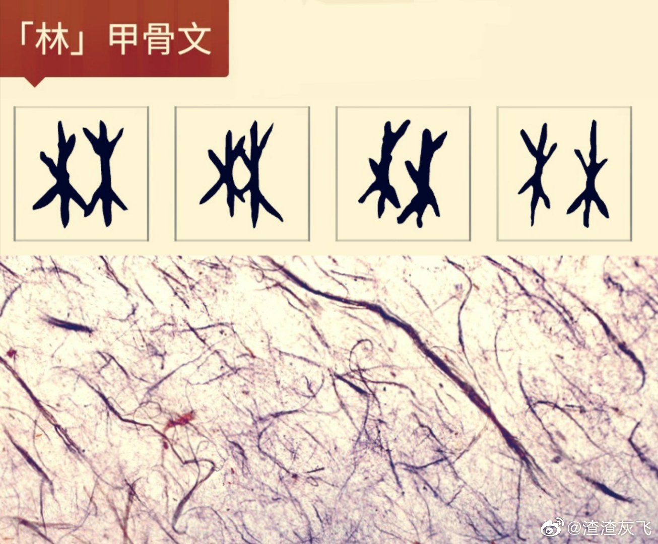 学而思识汉字,学而思汉字