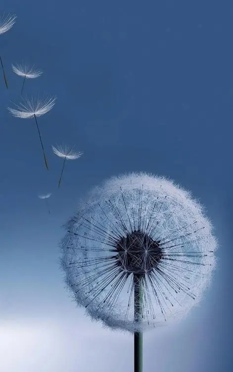 散文简单活着就是人生的精致,散文人心简单了就幸福