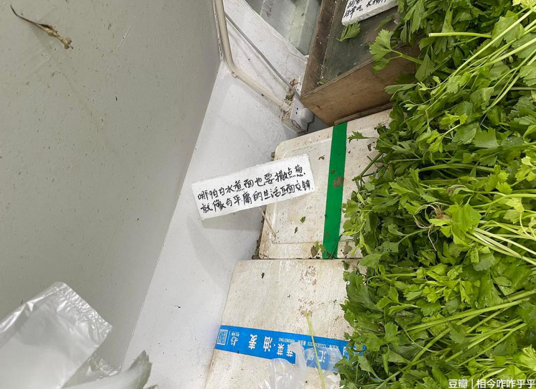 抖音正能量文案100句,近期收藏的高级无风格文案