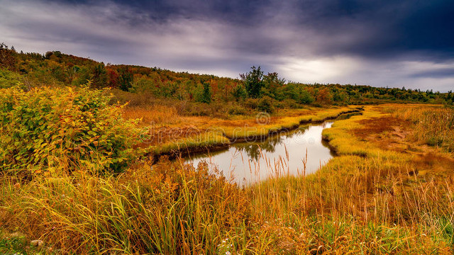 农村创业好项目新商机种植,农村创业项目小成本30平