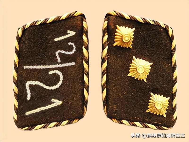 纳粹冲锋队用的什么枪,纳粹德军军衔图解