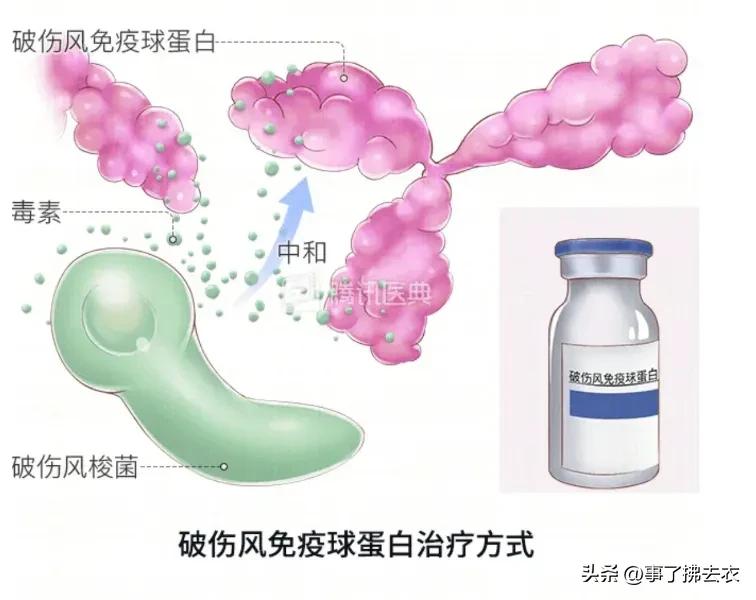 一条鱼引发的惨剧,一条鱼引发的悲剧8死13伤