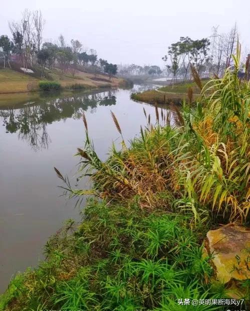 遂宁风景太美了,遂宁真的很美