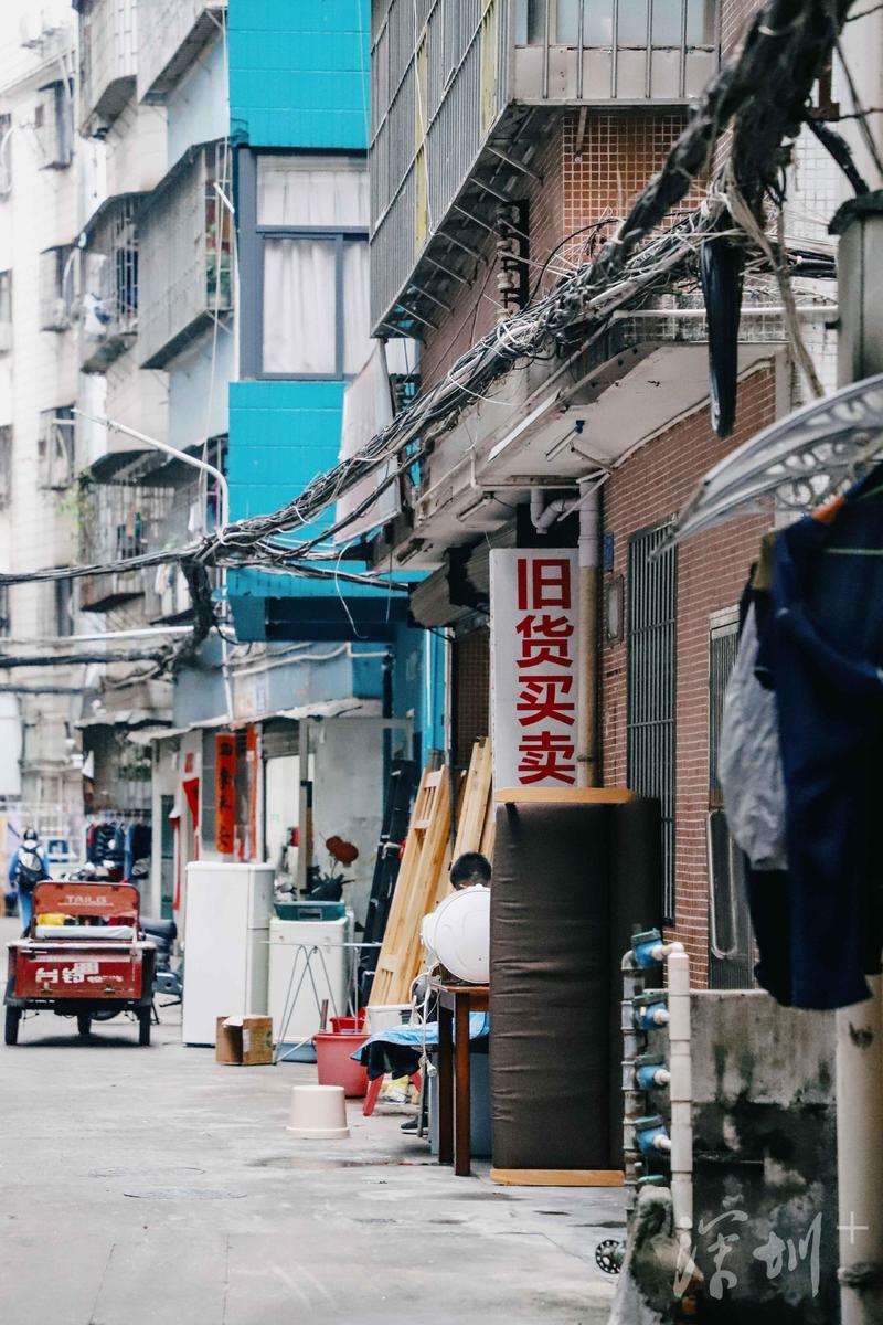 寻味深圳美食文化荟萃,深圳寻味美食推荐店有哪些