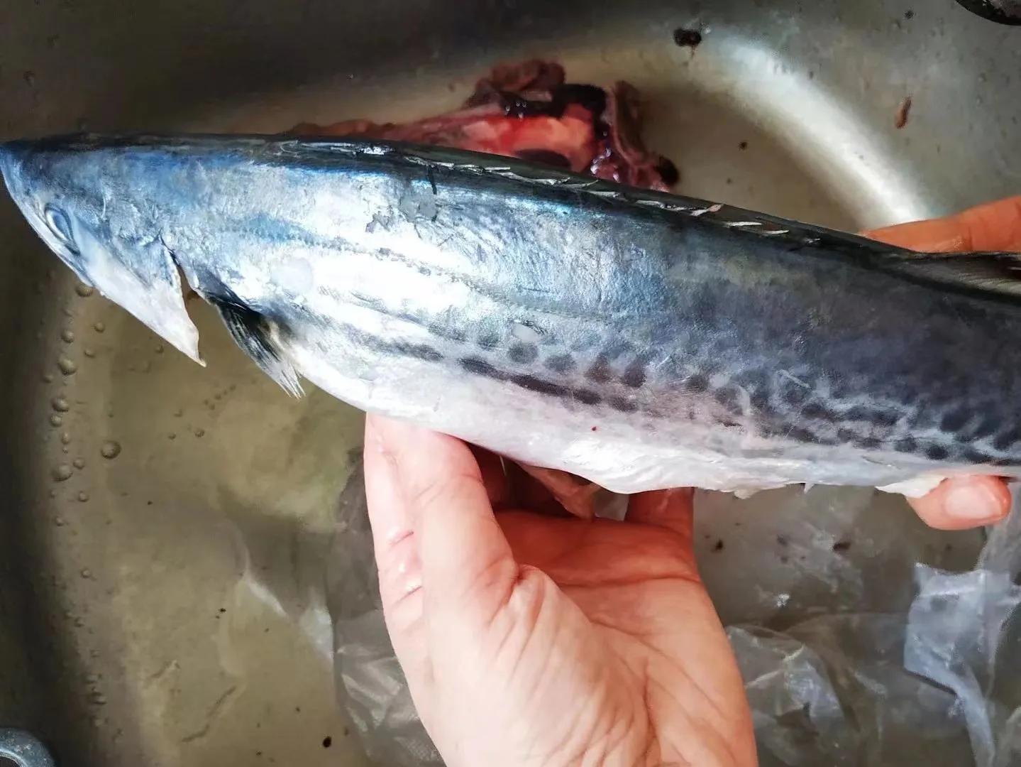 休渔期虾蟹,休渔期结束的海鲜有哪些