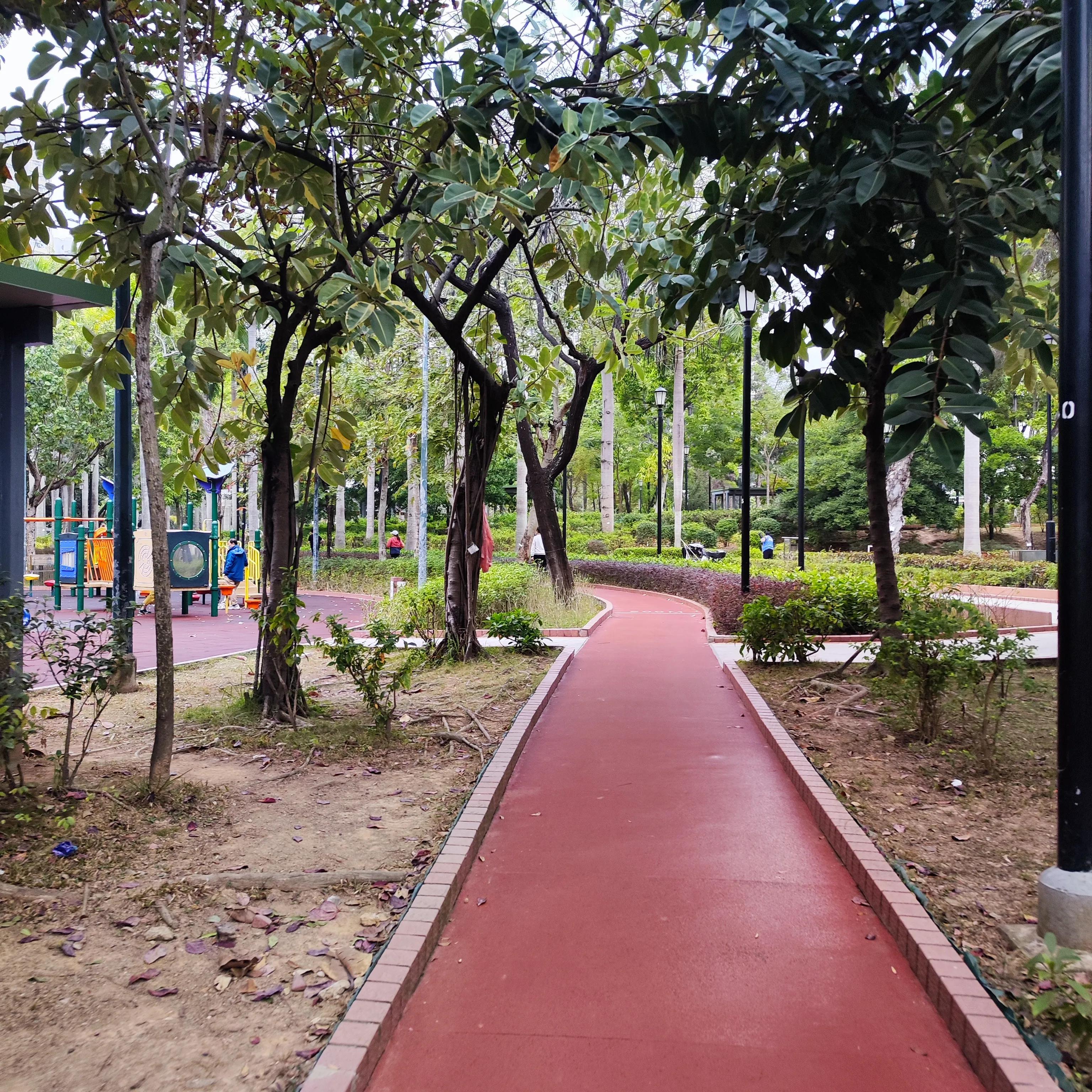 在香港居住了三个月,我的膝关节痛竟然好了。