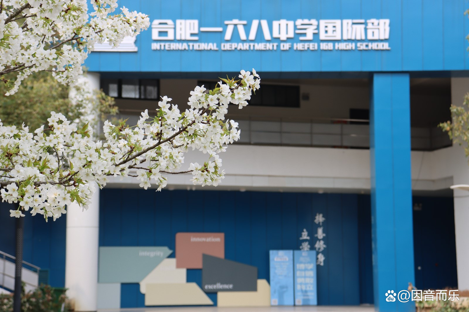 合肥口碑最好的高中国际班学校,合肥国际班高中哪个好