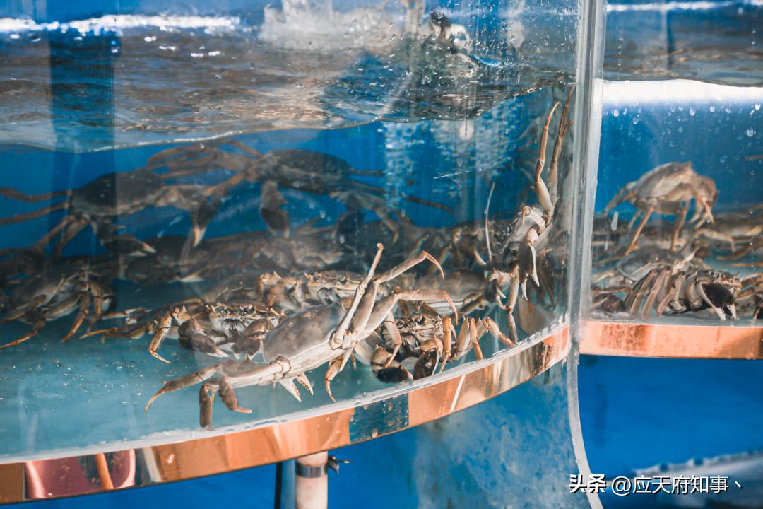 南京人囤物资,众彩年货攻略大全