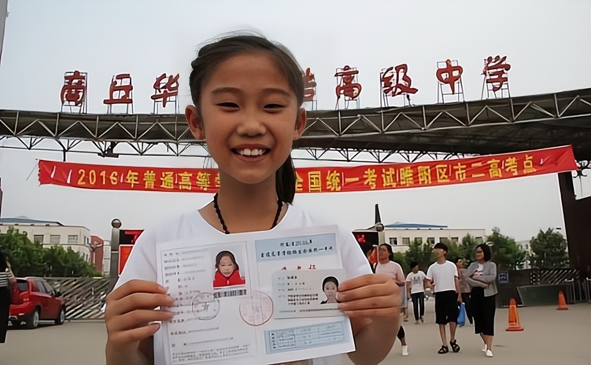 智商230的华裔数学家陶哲轩,华裔数学家陶哲轩智商