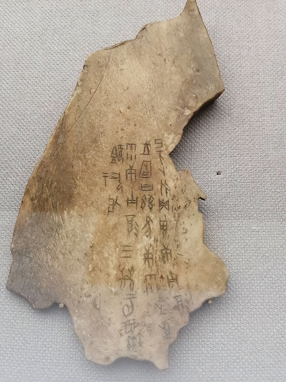 又双叒叕这个词怎么念,又双叒叕这几个字念什么