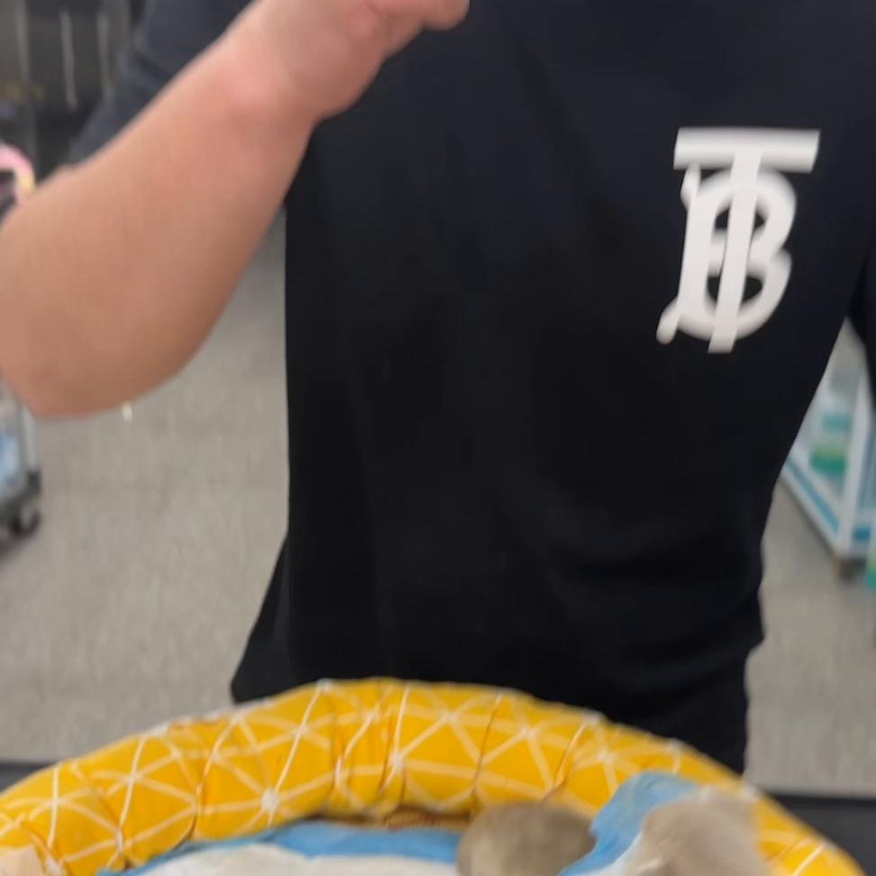 养猫日常需要做的,分享我养猫中遇到的哪些好东西