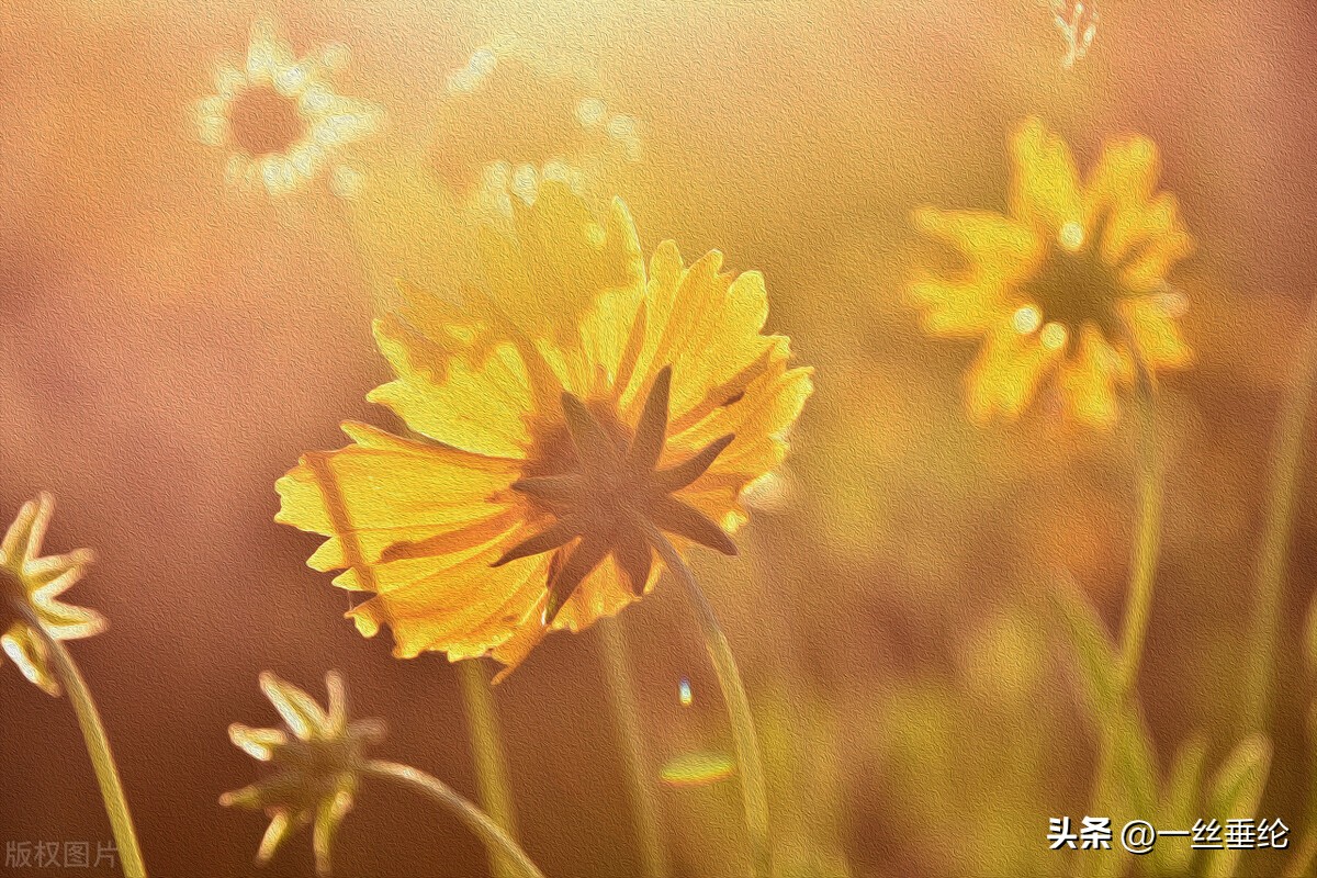 58岁阿姨谈搭伙过日子,65岁阿姨坦言搭伙过日子八年