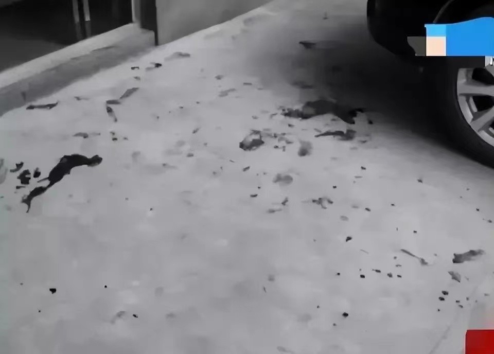 离谱！广西已婚少妇交往百位情人，只因太大方给钱被杀害！