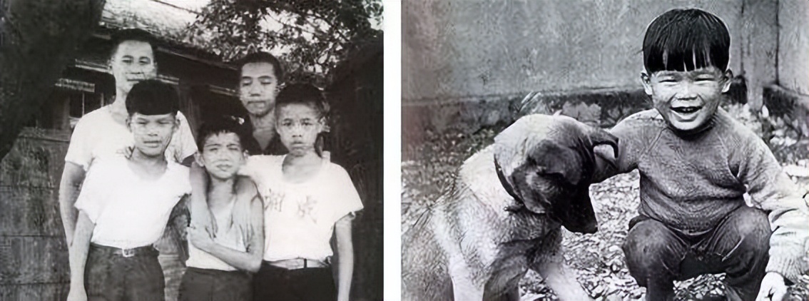 台湾爱国人士爱国言论,十位爱国的中国台湾明星