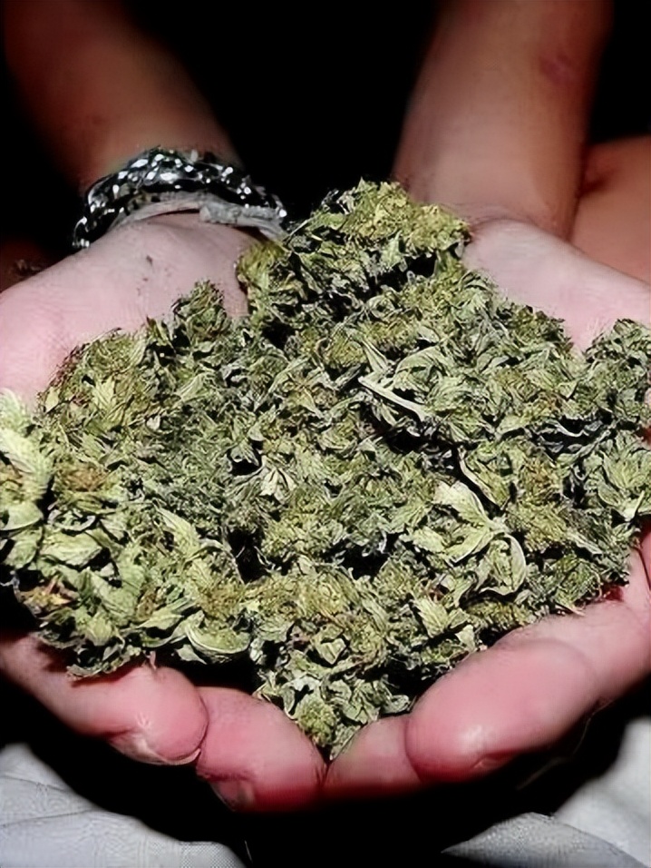 6.26国际禁毒日禁毒最前线,国际禁毒日我们一起为禁毒代言