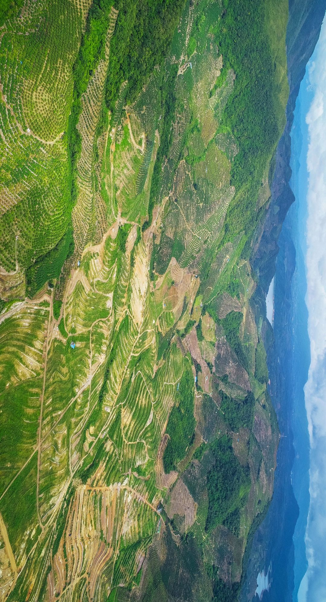 我国四大地理区域水果,中国什么地方热带水果多