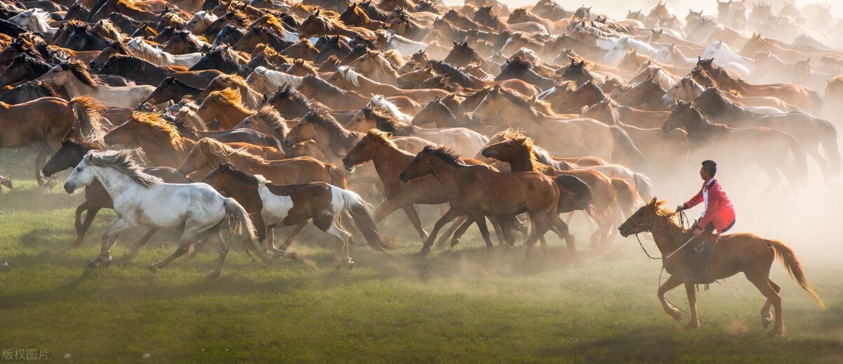 你可能不知道的极限运动,你可能不知道的运动小常识