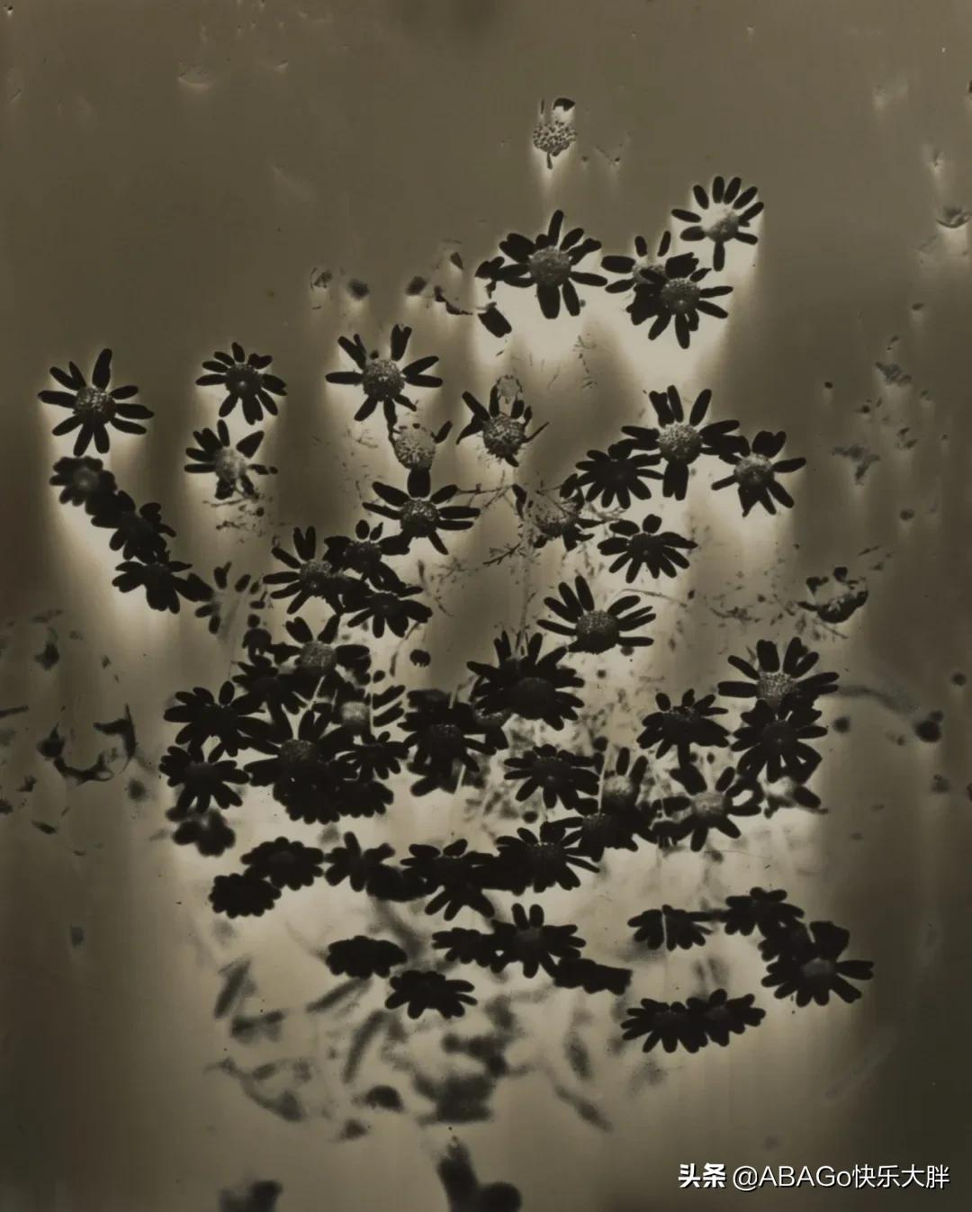 巴西的艺术家,巴西现代主义建筑师