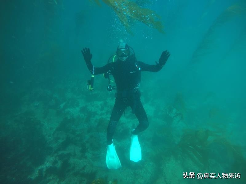 我，36岁财务自由，在美国豪横买庄园买山，还买个农场养羊驼玩