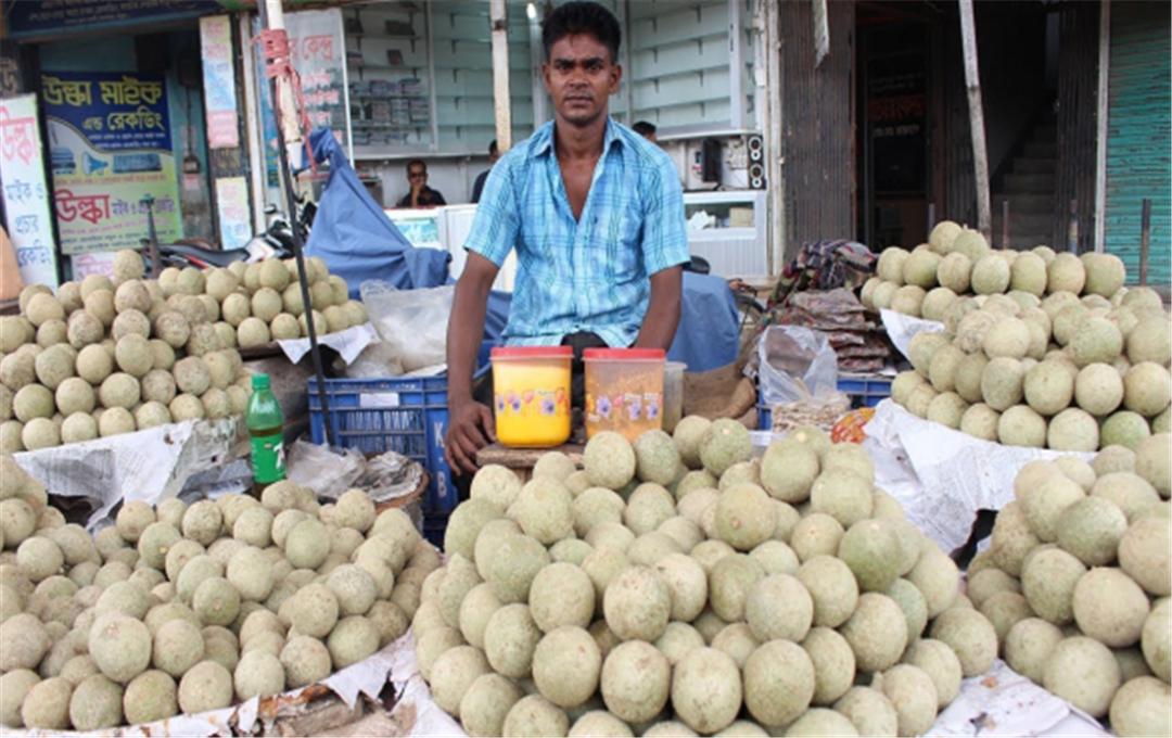 十万大山发现木苹果，果肉像罗汉果，果壳比椰子硬，印度人喜欢吃