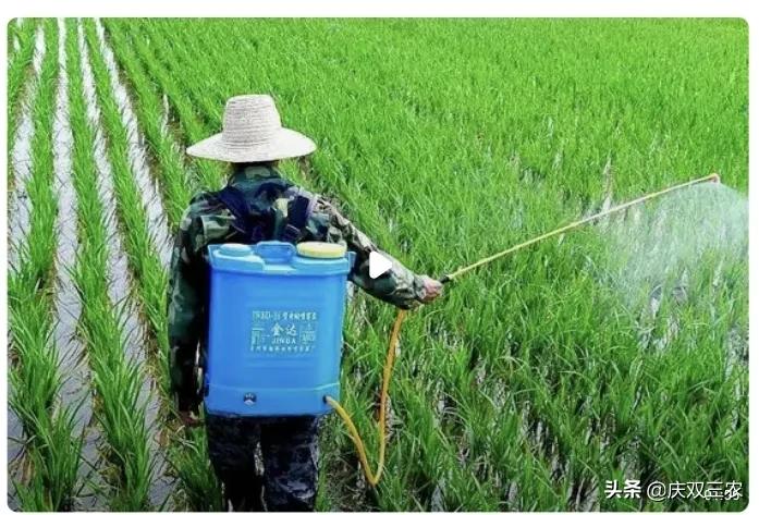 叶面肥对植物的作用,叶面施肥较土壤施肥好处