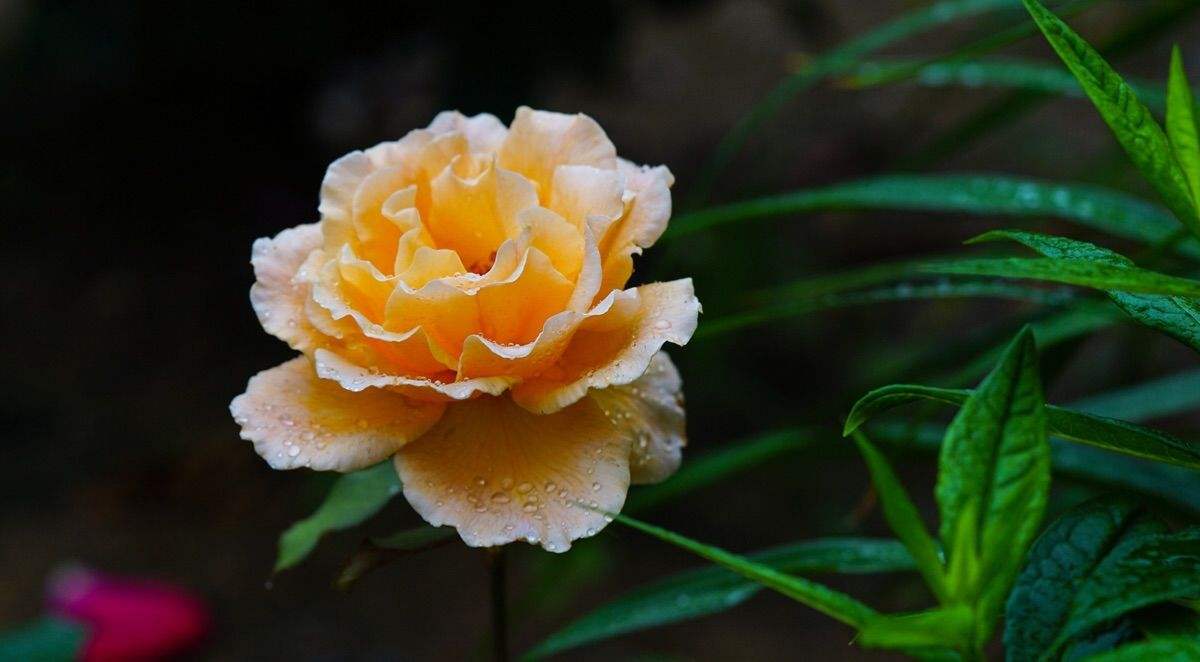 负氧离子机效果怎么样,负离子机到底值不值得买